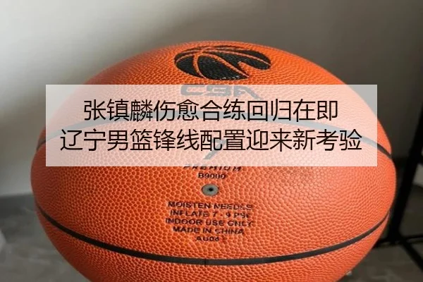 张镇麟伤愈合练回归在即 辽宁男篮锋线配置迎来新考验