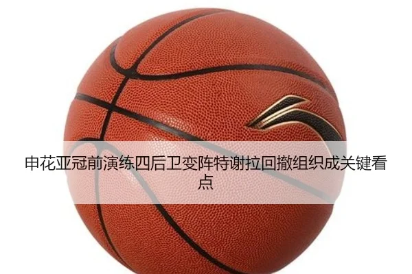 申花亚冠前演练四后卫变阵特谢拉回撤组织成关键看点